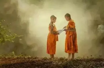 别跟我玩心眼和套路