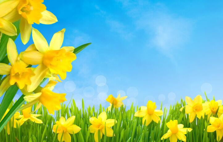 女人心态阳光的句子文案早安