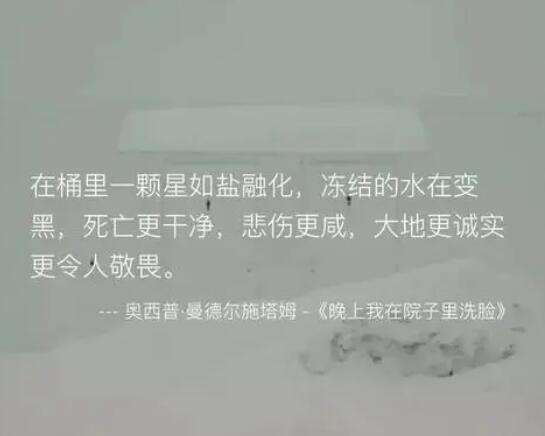 一些温柔的小众文案