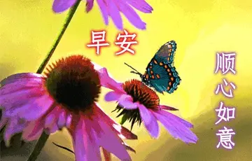 五月早上好祝福问候语图片