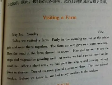 不少于五句话的英语日记