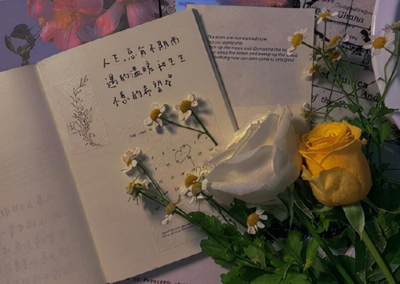 简单干净气质类文案