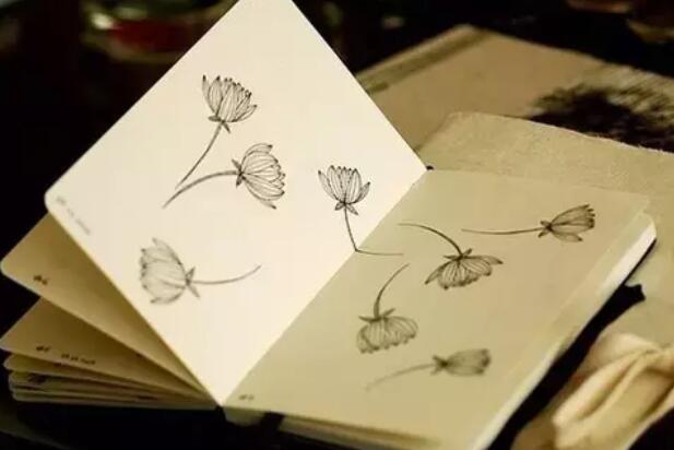 旺运又旺财的微信个性签名