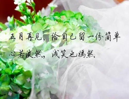 再见的句子文案简短