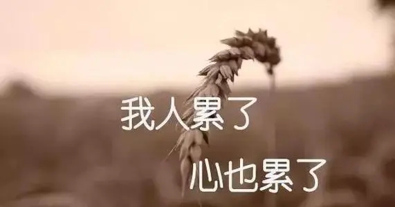 心烦的一段话
