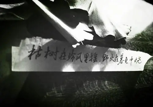 工作感悟及心得短句