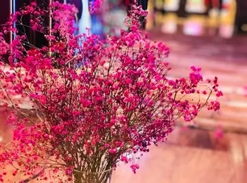 早安五月暖心话短句