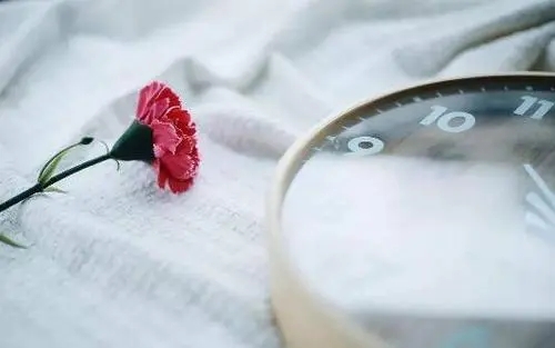 干净暖心句短句