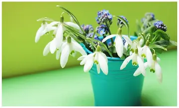 句句深入人心经典句子文案简短