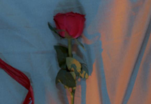 夸赞朋友有心的句子文案