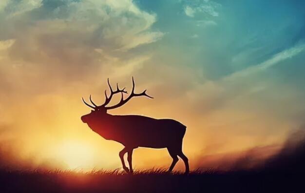 送给在拼搏的人一句话