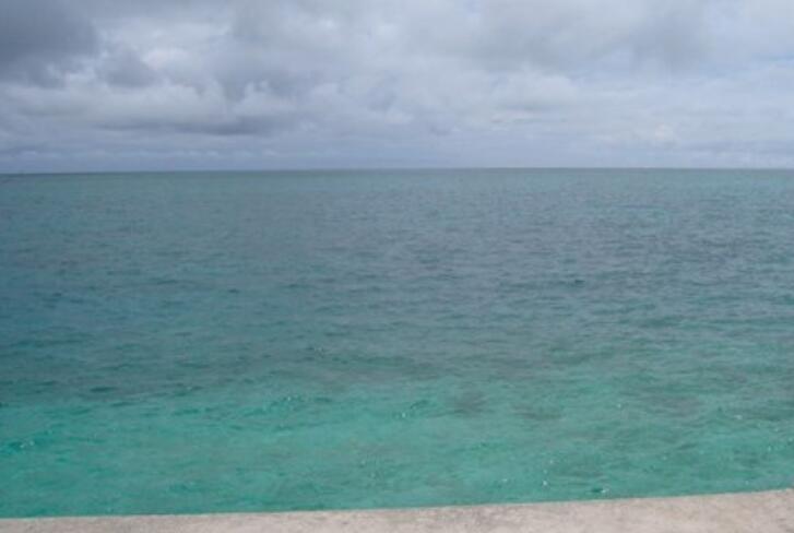 坚强好句文案好段摘抄大全