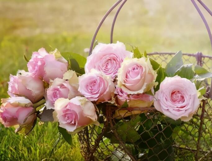 不想让对方为难的句子文案