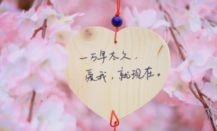 抖音祝我的男孩文案