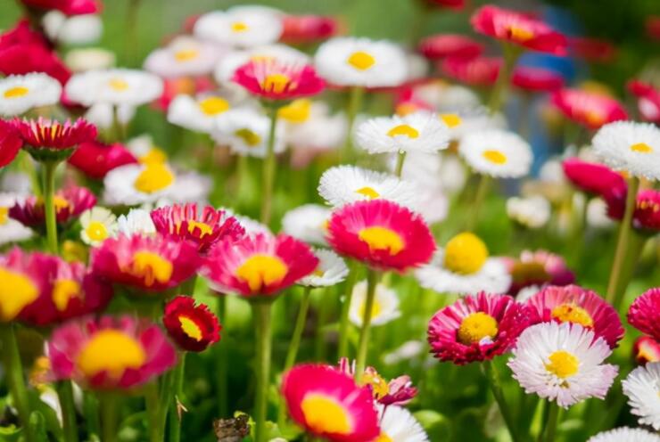 记录清晨美好的句子文案