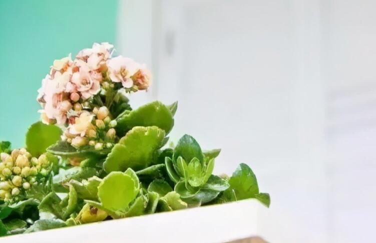 回忆难过的句子文案