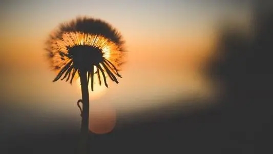 心情说说文案短句随心