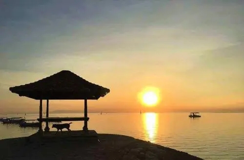 漂泊在外思念家乡的诗句文案