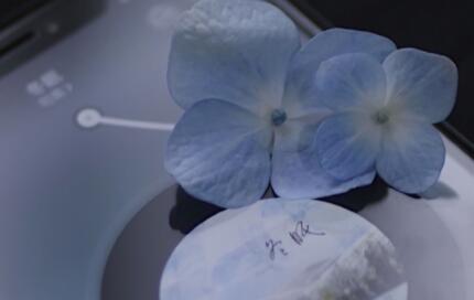 每一天生活充满阳光的句子文案