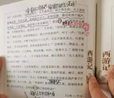 细节描写摘抄加批注