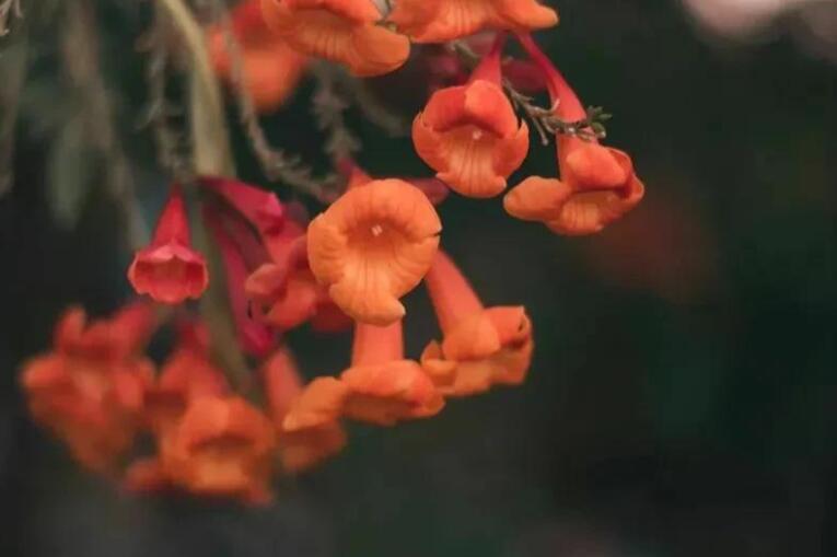 内在精神的句子文案