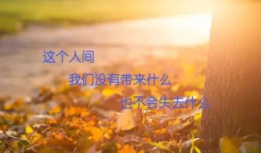 表达对人有好感的句子文案