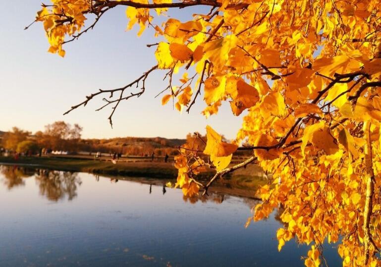 关于过客的句子文案唯美