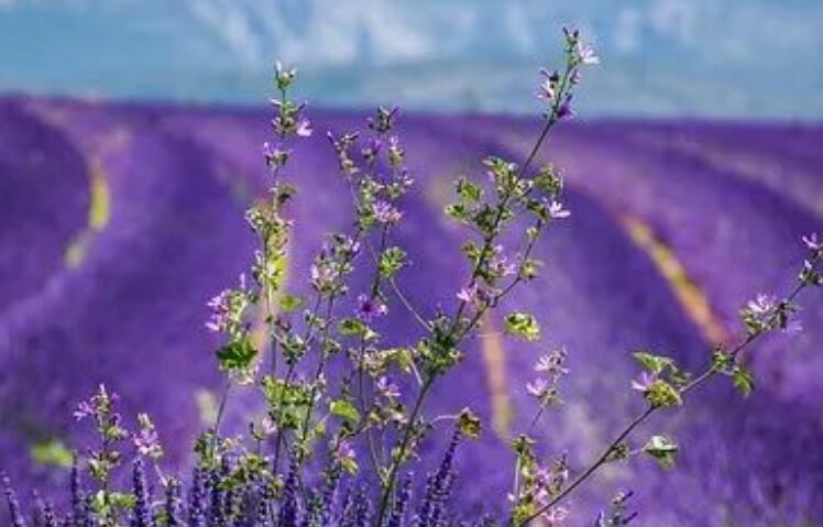 换工作了新的开始励志说说文案