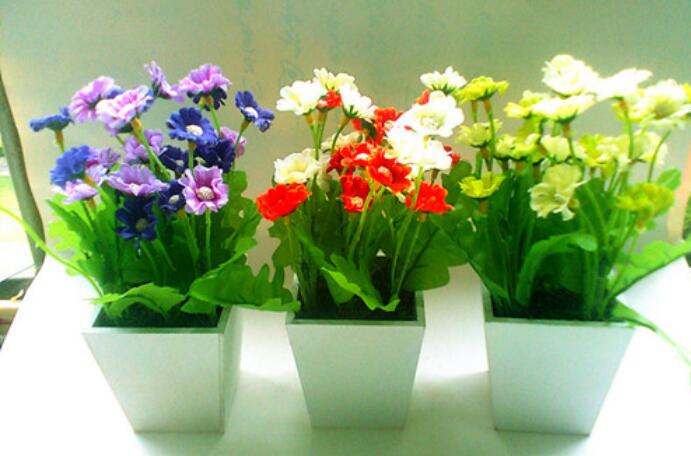 养花的搞笑文案