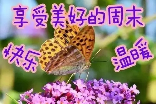 周末怎么问候女生