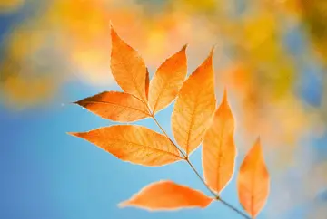 深奥的句子文案