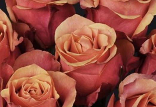 睡前100句情话文案