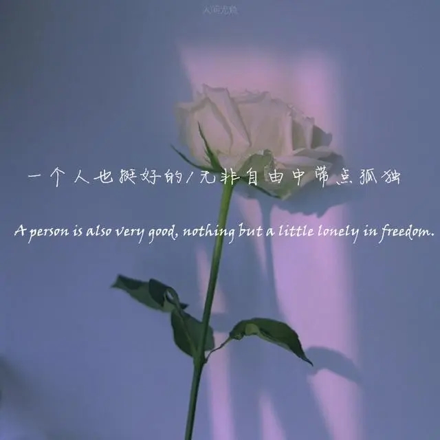 伤感图片带文字的图片