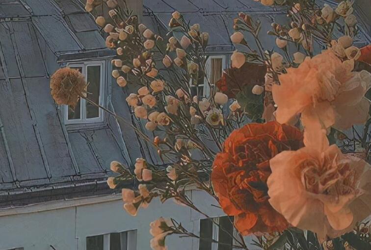 希望平淡的句子文案