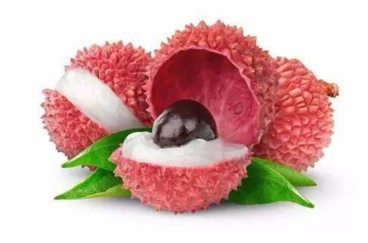 荔枝搞笑诗句文案