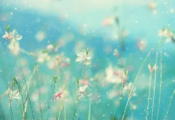 很简短的英文句子文案