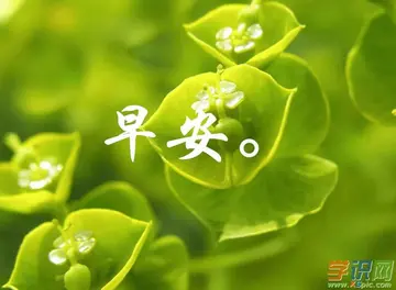 微商早安心语励志配图