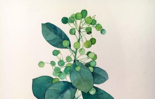 带有从字的句子文案