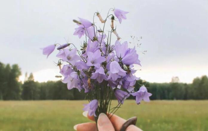 打工名言名句文案大全