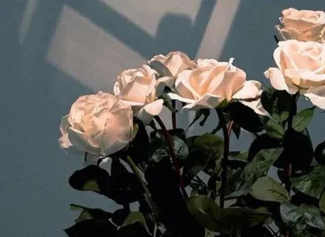 让人惊艳的句子文案