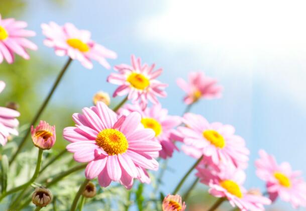 女生撩人的签名