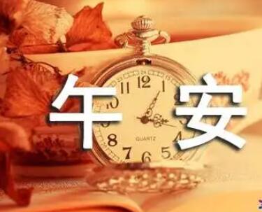 老婆午安问候语