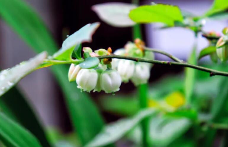 描写闲游的唯美句子文案