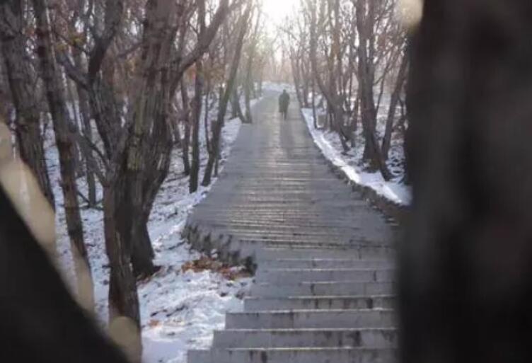 莫名想家的说说文案