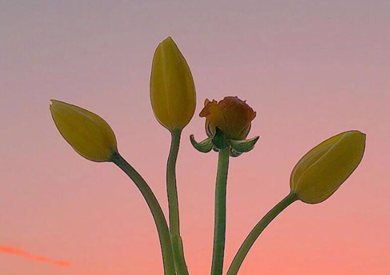 早安的朋友圈说说文案