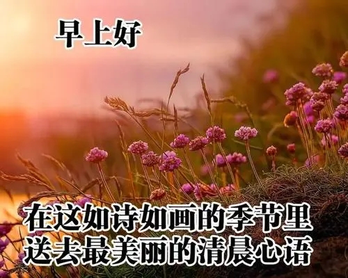 心情低落早安句子文案