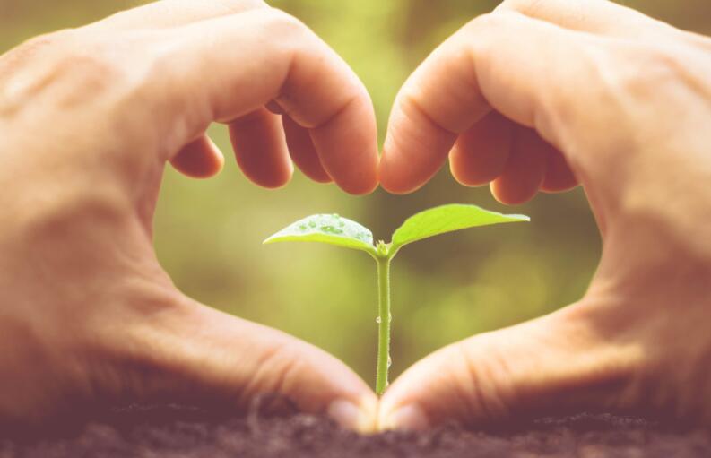 责任与担当的名言