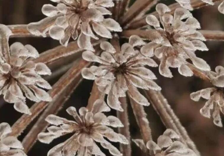 给朋友亲密早安的祝福语