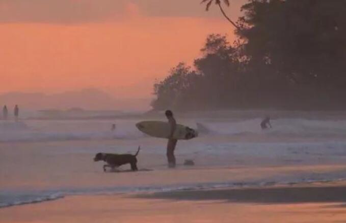 委婉表示好感的句子文案