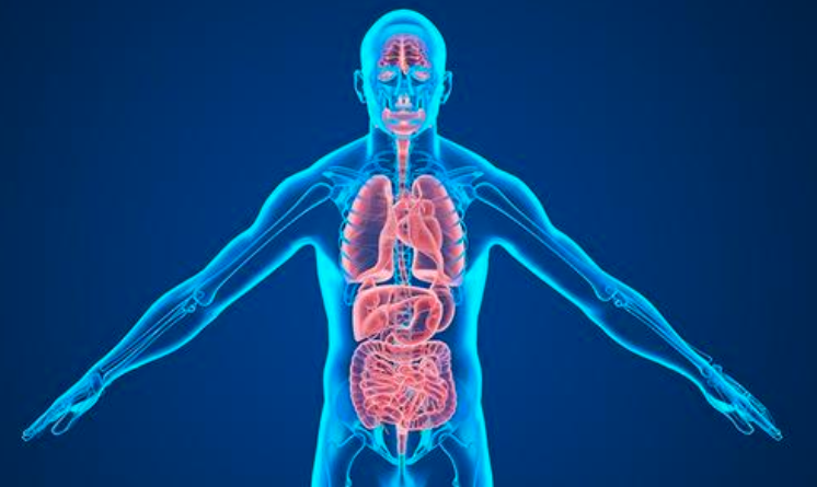 身体健康的祝福语